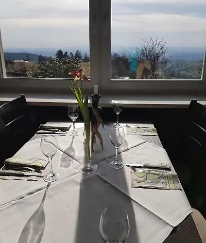 Отель Berggasthof Zum Steira 3*